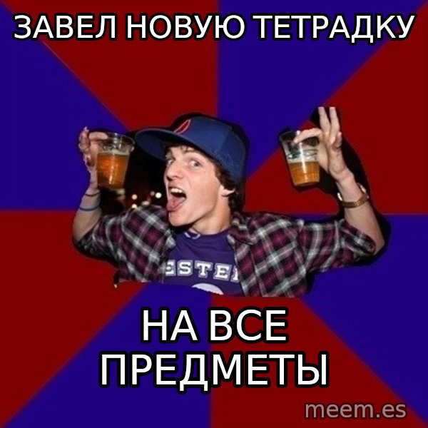 Sunny Student meme: завел новую тетрадку / на все предметы