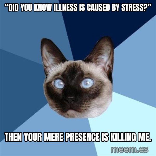 Chronic Illness Cat meme: “Did you know illness is caused by stress?” / Then your mere presence is killing me.