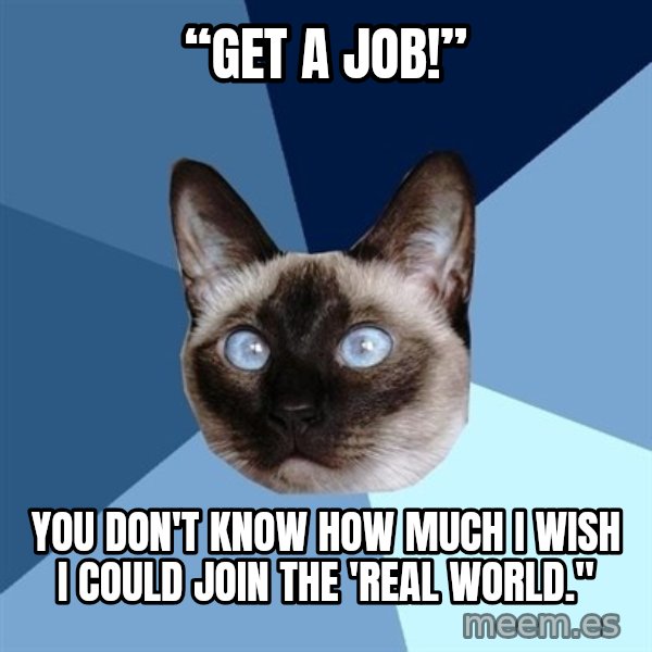 Chronic Illness Cat meme: “Get a job!” / You don't know how much I wish I could join the 'real world."