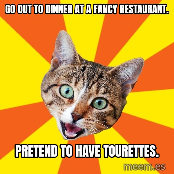 Bad Advice Cat meme: Go out to dinner at a fancy restaurant. / Pretend to have Tourettes.