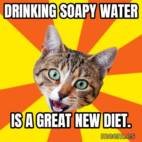 Bad Advice Cat meme: Drinking Soapy Water / is a great new Diet.