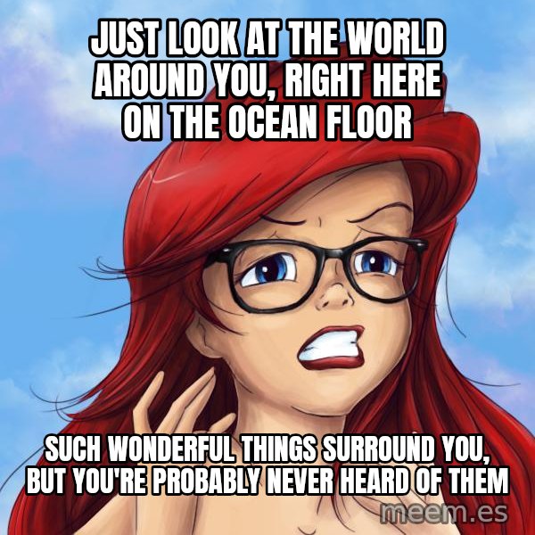Hipster Ariel meme: just look at the world around you, right here on the ocean floor / such wonderful things surround you, but you're probably never heard of them