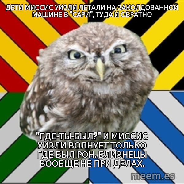 JEALOUS POTTEROMAN meme: Дети миссис уизли летали на заколдованной машине в "сари", туда и обратно / "где-ты-был?" и миссис уизли волнует только где был рон. близнецы вообще не при делах.