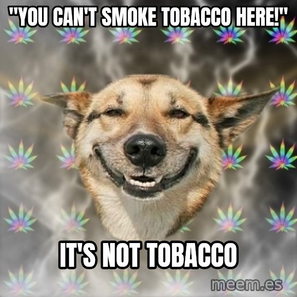 Stoner Dog meme: ''You can't smoke tobacco here!'' / it's not tobacco