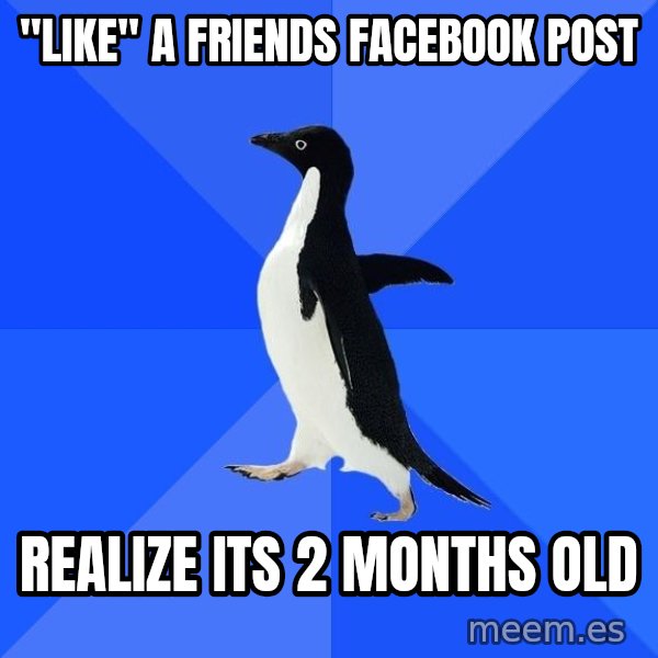 Socially Awkward Penguin meme: "like" a friends facebook post / realize its 2 months old