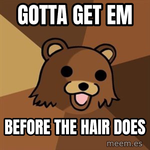 Pedobear meme: gotta get em / before the hair does