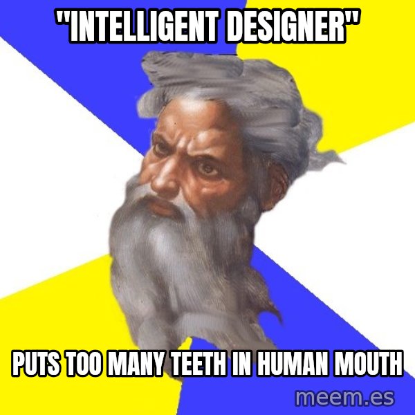 Advice God meme: "Intelligent Designer" / puts too many teeth in human mouth