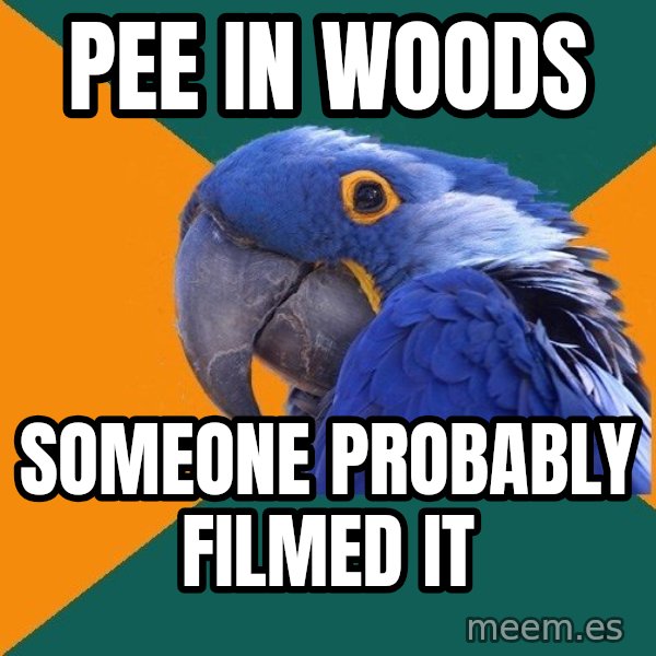 Paranoid Parrot meme: pee in woods / someone probably filmed it