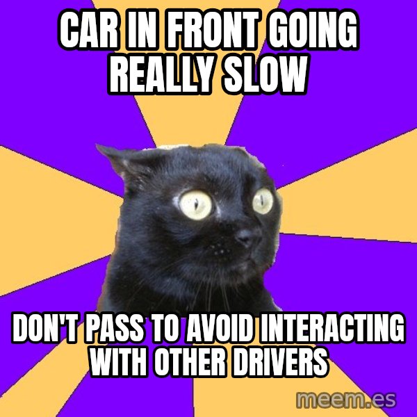Anxiety Cat meme: car in front going really slow / don't pass to avoid interacting with other drivers