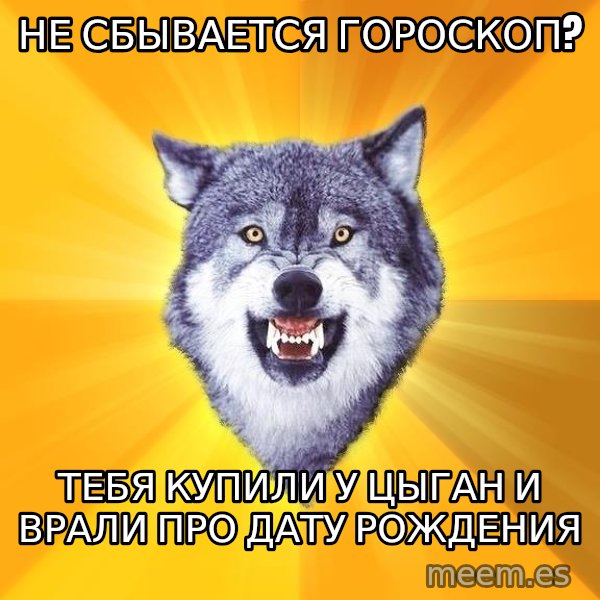 Courage Wolf meme: не сбывается гороскоп? / тебя купили у цыган и врали про дату рождения