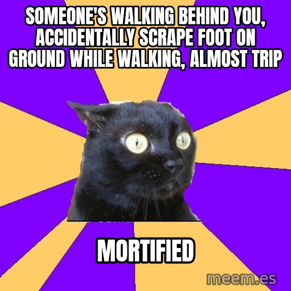 Anxiety Cat meme: SOMEONE'S WALKING BEHIND YOU, ACCIDENTALLY SCRAPE FOOT ON GROUND WHILE WALKING, ALMOST TRIP / MORTIFIED