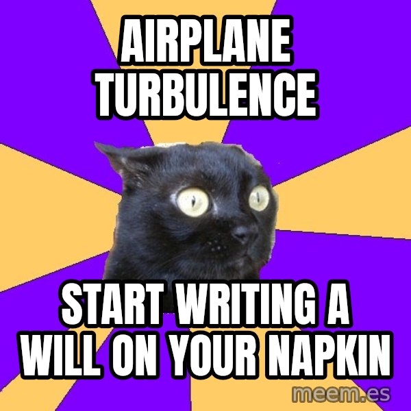 Anxiety Cat meme: Airplane Turbulence / Start writing a will on your napkin