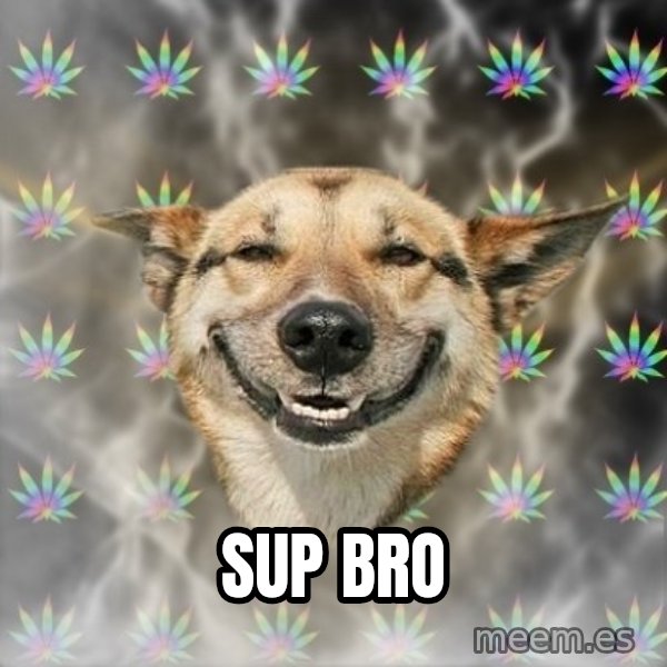Stoner Dog meme: SUP BRO