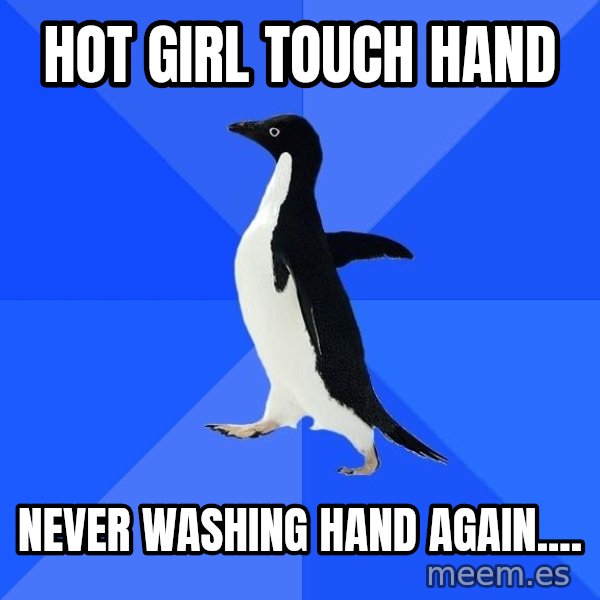 Socially Awkward Penguin meme: Hot girl touch  hand / never washing hand again....