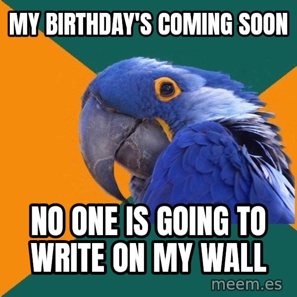 Paranoid Parrot meme: MY BIRTHDAY'S COMING SOON / no one is going to write on my wall