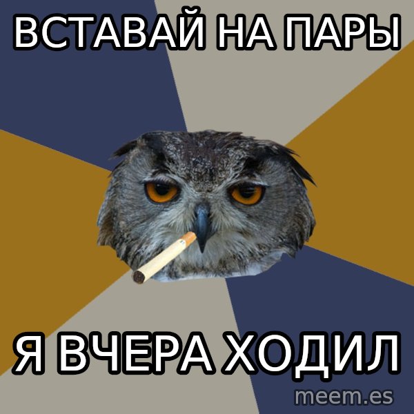 Art Student Owl meme: вставай на пары / я вчера ходил