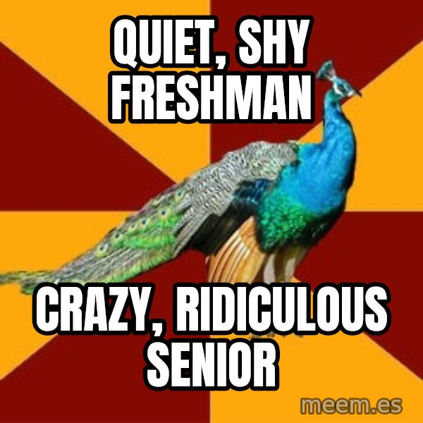 Thespian Peacock meme: quiet, shy freshman / crazy, ridiculous senior