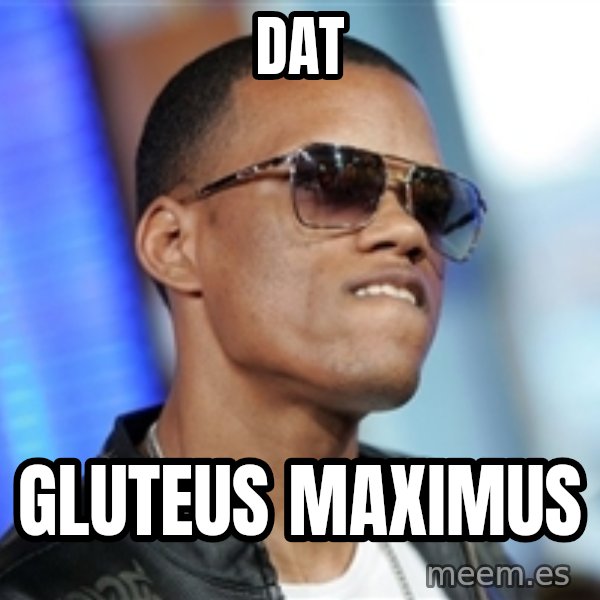 Dat Ass meme: Dat / Gluteus maximus