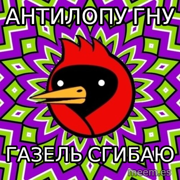 Omsk Crow meme: Антилопу гну / Газель сгибаю