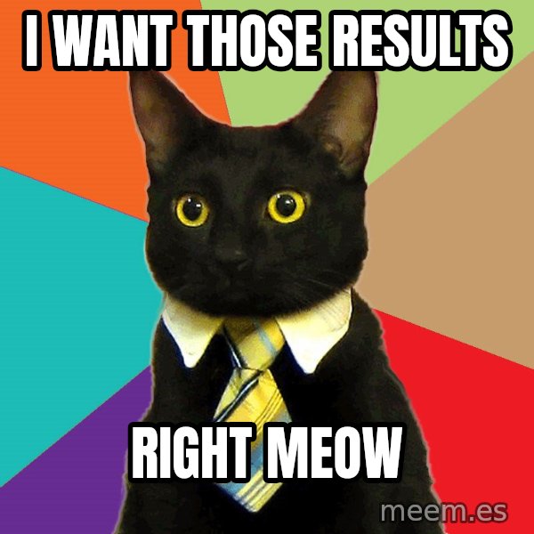 Business Cat meme: I WANT THOSE RESULTS / Right Meow