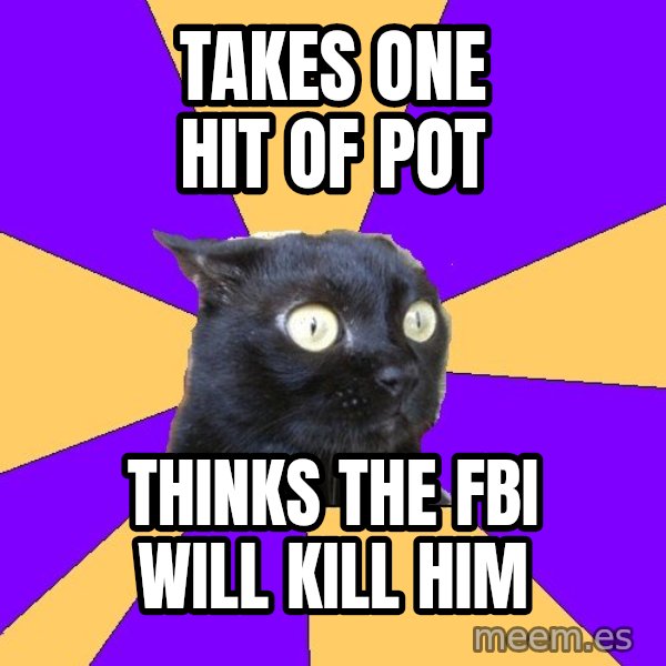 Anxiety Cat meme: Takes one hit of pot / Thinks the fbi will kill him