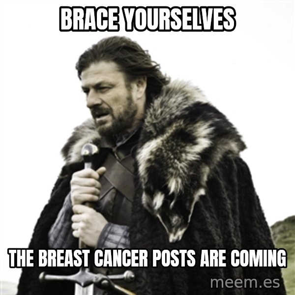 Ned Stark meme: Brace yourselves / the breast cancer posts are coming