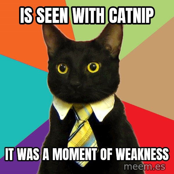 Business Cat meme: is seen with  catnip / it was a moment of weakness