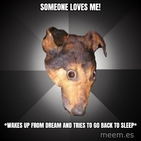 Depression Dog meme: someone loves me! / *wakes up from dream and tries to go back to sleep*