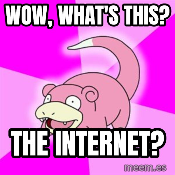 Slowpoke meme: wow, what's this? / The internet?