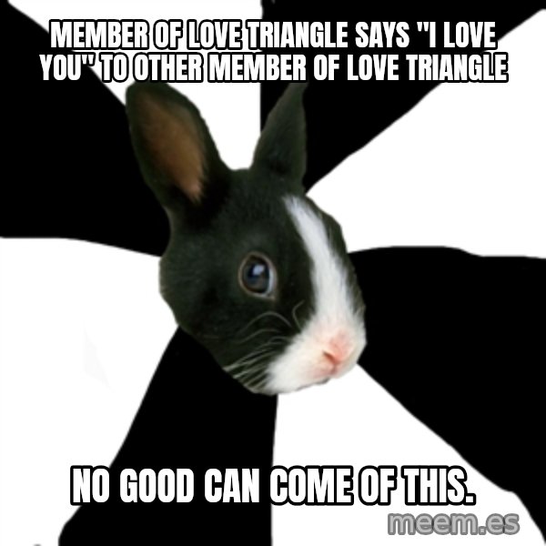 Roleplaying Rabbit meme: member of love triangle  says "i love you" to other member of love triangle / no good can come of this.