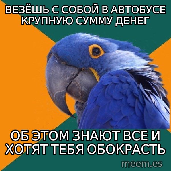 Paranoid Parrot meme: везёшь с собой в автобусе крупную сумму денег / об этом знают все и хотят тебя обокрасть