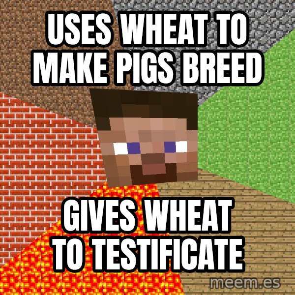 Minecraft Guy meme: Uses wheat to make pigs breed / Gives wheat to testificate