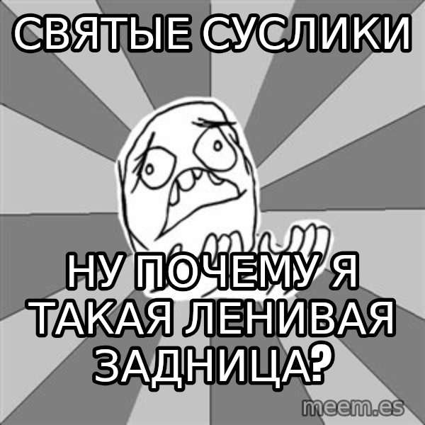 Whyyy??? meme: святые суслики / ну почему я такая ленивая задница?