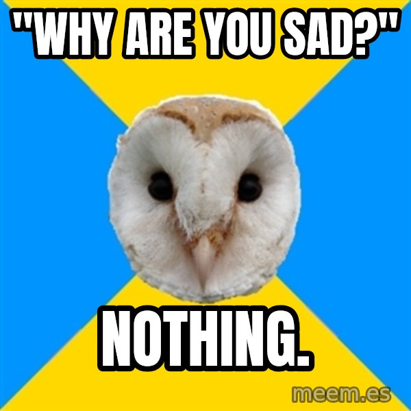 Bipolar Owl meme: "Why are you sad?" / nothing.