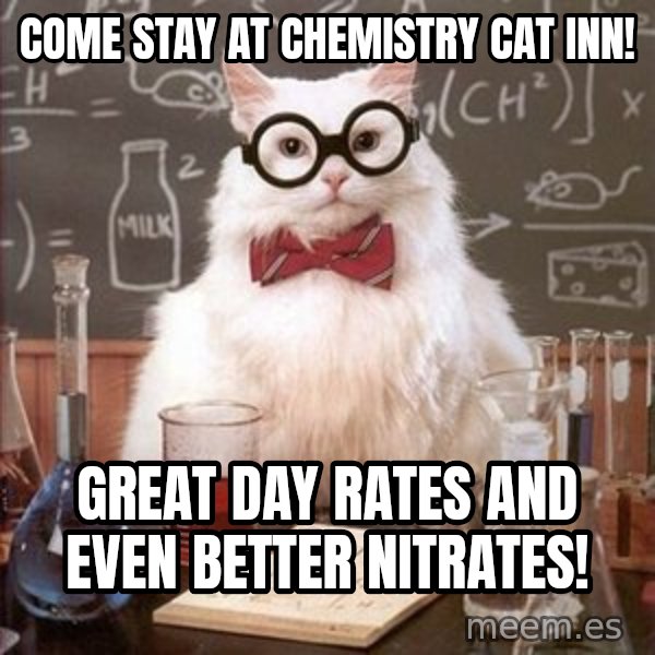 Chemistry Cat meme: Come stay at chemistry cat inn! / great day rates and even better nitrates!