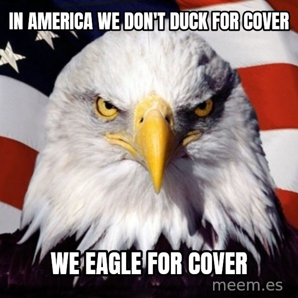 American Pride Eagle meme: IN AMERICA WE DON'T DUCK FOR COVER / WE EAGLE FOR COVER
