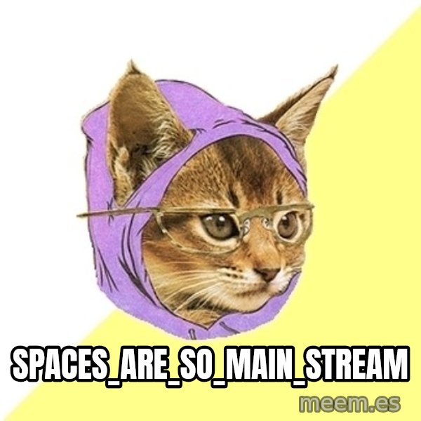Hipster Kitty meme: SPACES_ARE_SO_MAIN_STREAM