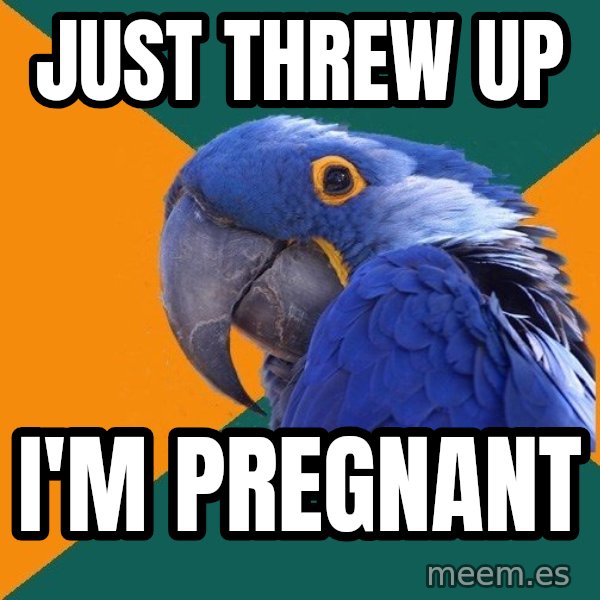 Paranoid Parrot meme: Just threw up / I'm pregnant