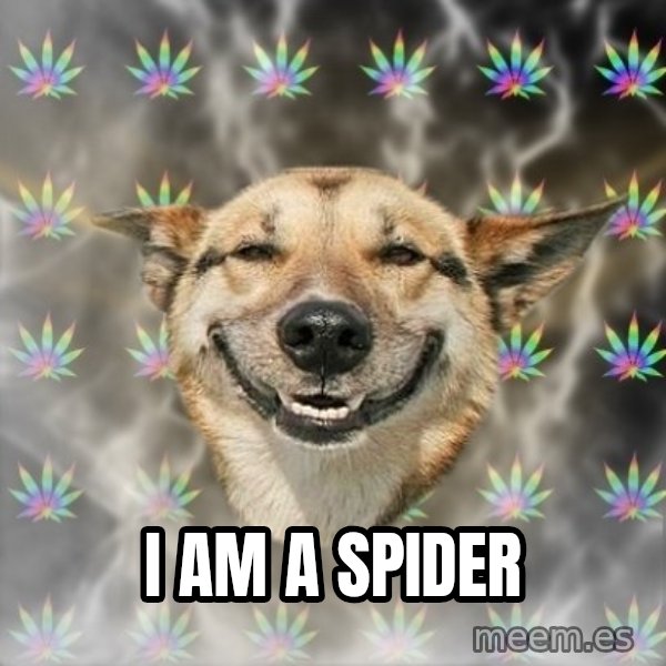 Stoner Dog meme: I am a spider