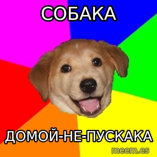 Advice Dog meme: собака / домой-не-пускака