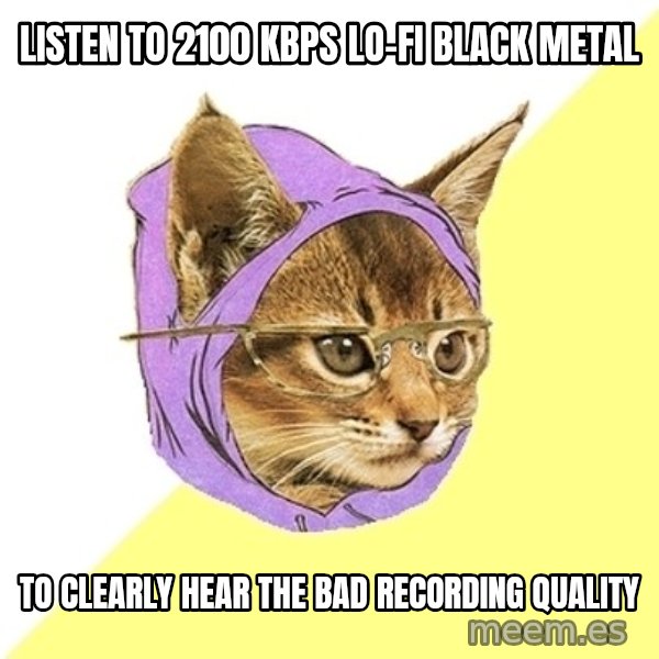 Hipster Kitty meme: Listen to 2100 KBPS lo-fi black metal / to clearly hear the bad recording quality