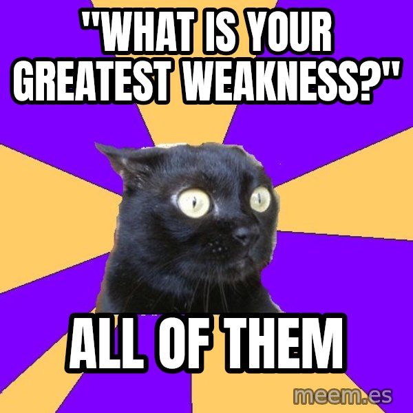 Anxiety Cat meme: "what is your greatest weakness?" / all of them