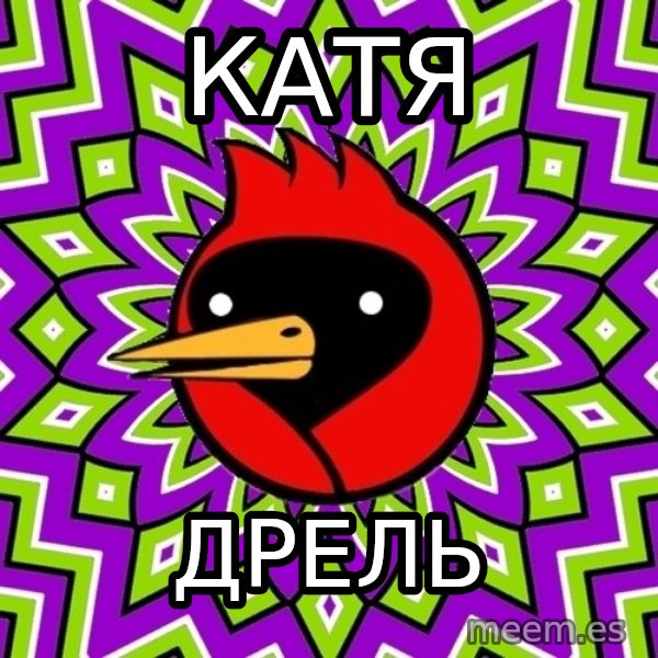 Omsk Crow meme: Катя / Дрель