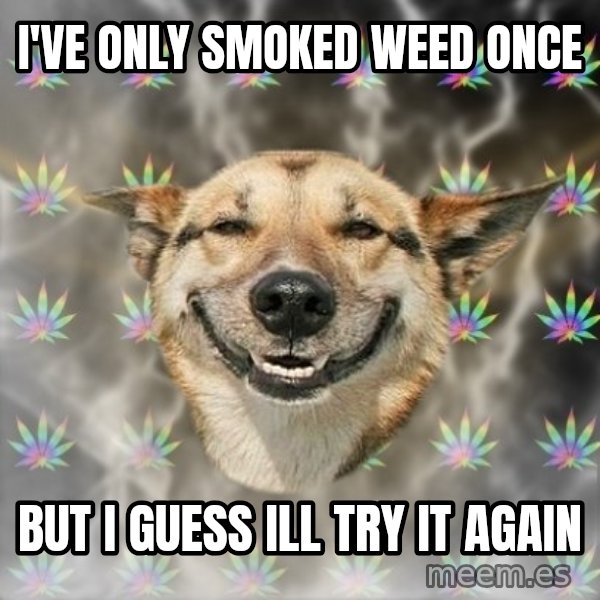 Stoner Dog meme: I've only smoked weed once / but I guess  ill try it again