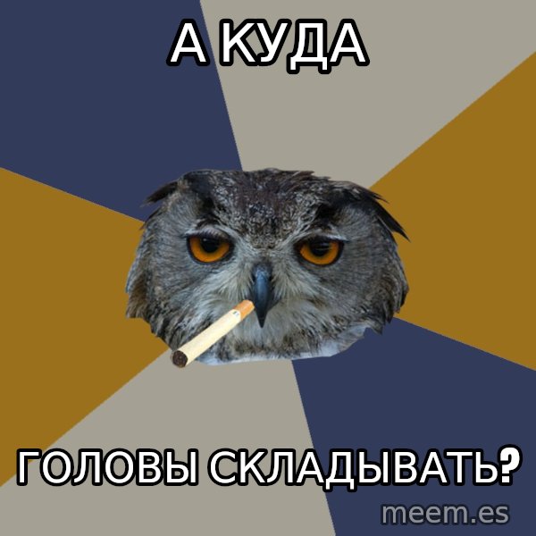 Art Student Owl meme: А куда / головы складывать?