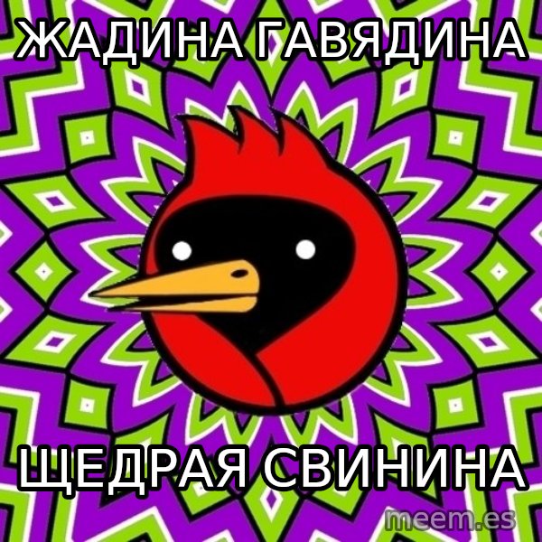 Omsk Crow meme: ЖАДИНА ГАВЯДИНА / ЩЕДРАЯ СВИНИНА