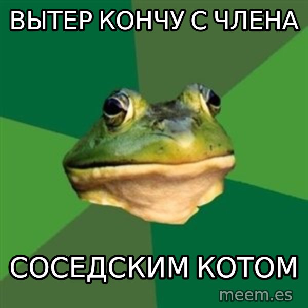Foul Bachelor Frog meme: Вытер кончу с члена / соседским котом