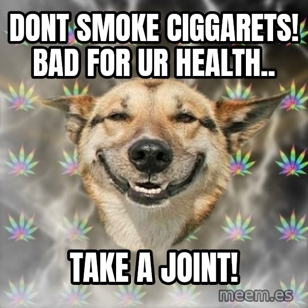 Stoner Dog meme: DONT SMOKE CIGGARETS! BAD FOR UR HEALTH.. / Take a joint!