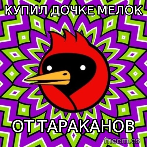 Omsk Crow meme: купил дочке мелок / от тараканов