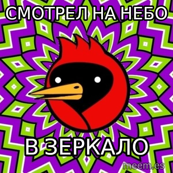 Omsk Crow meme: смотрел на небо / в зеркало